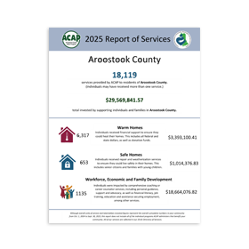 aroostook town report.png