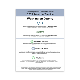 washington town report.png